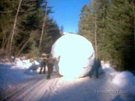 Giant-Snowball_zps0979a65e.jpg