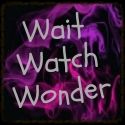 Wait Watch Wonder