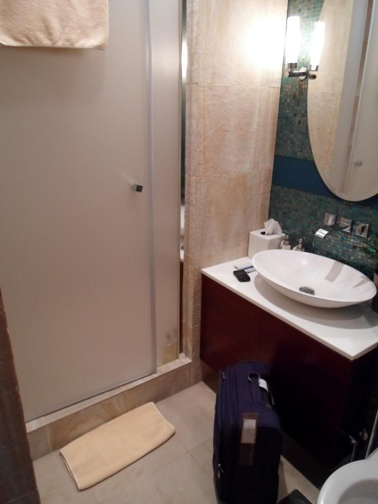 SAM_0552_zps5db1bed5.jpg