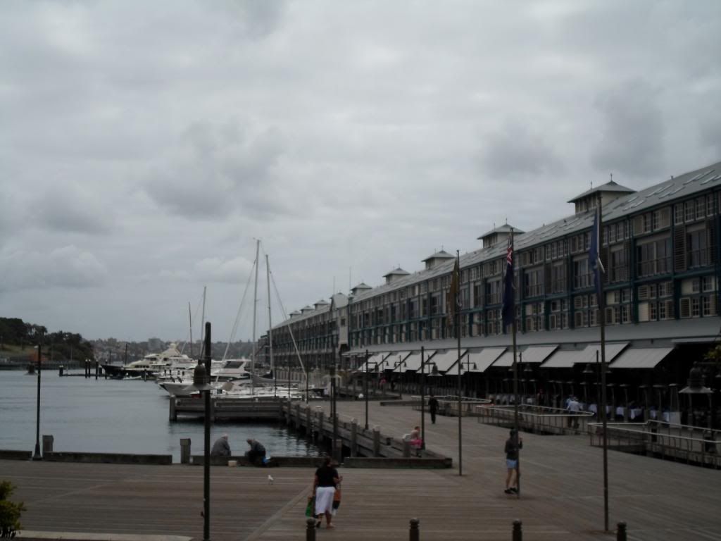 SAM_0756_zps49d801fb.jpg