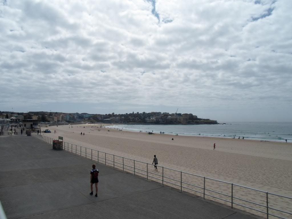 SAM_0907_zps0fa7d655.jpg