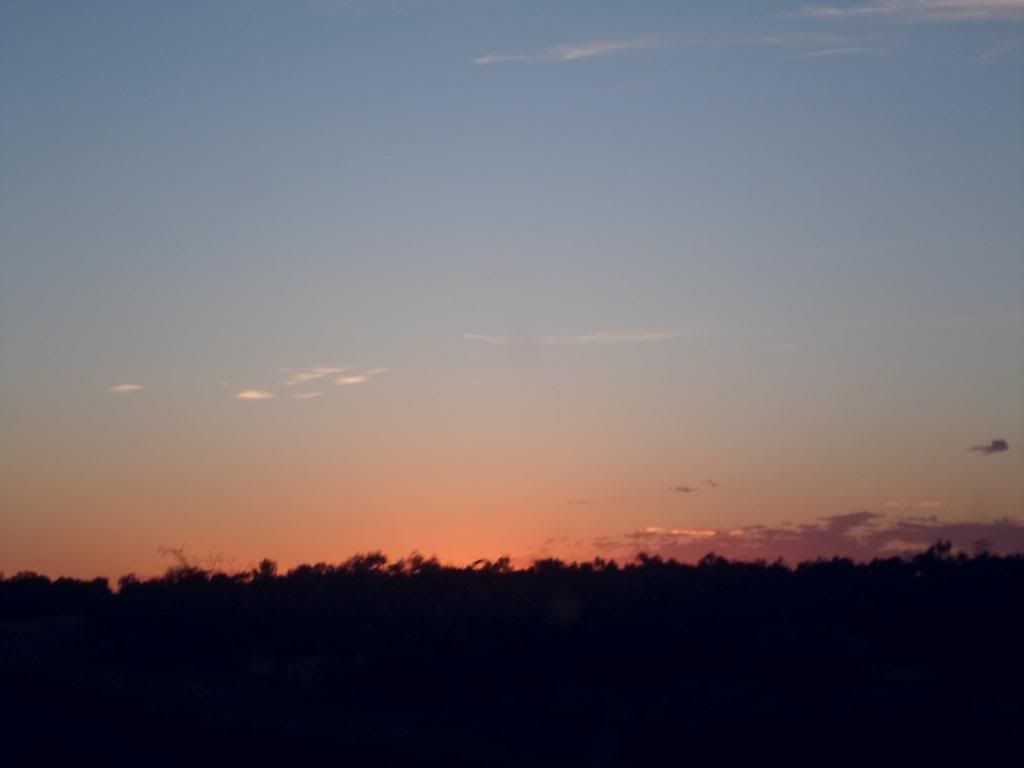 SAM_2476_zps46ba88d3.jpg