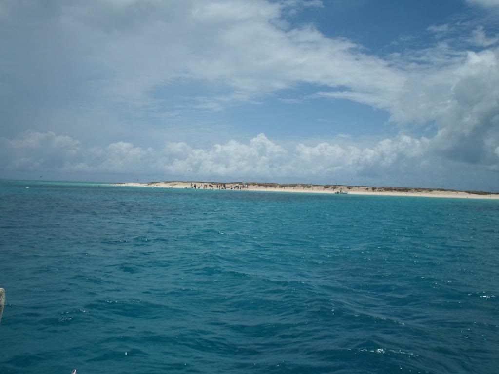 SAM_3293_zps96b44522.jpg