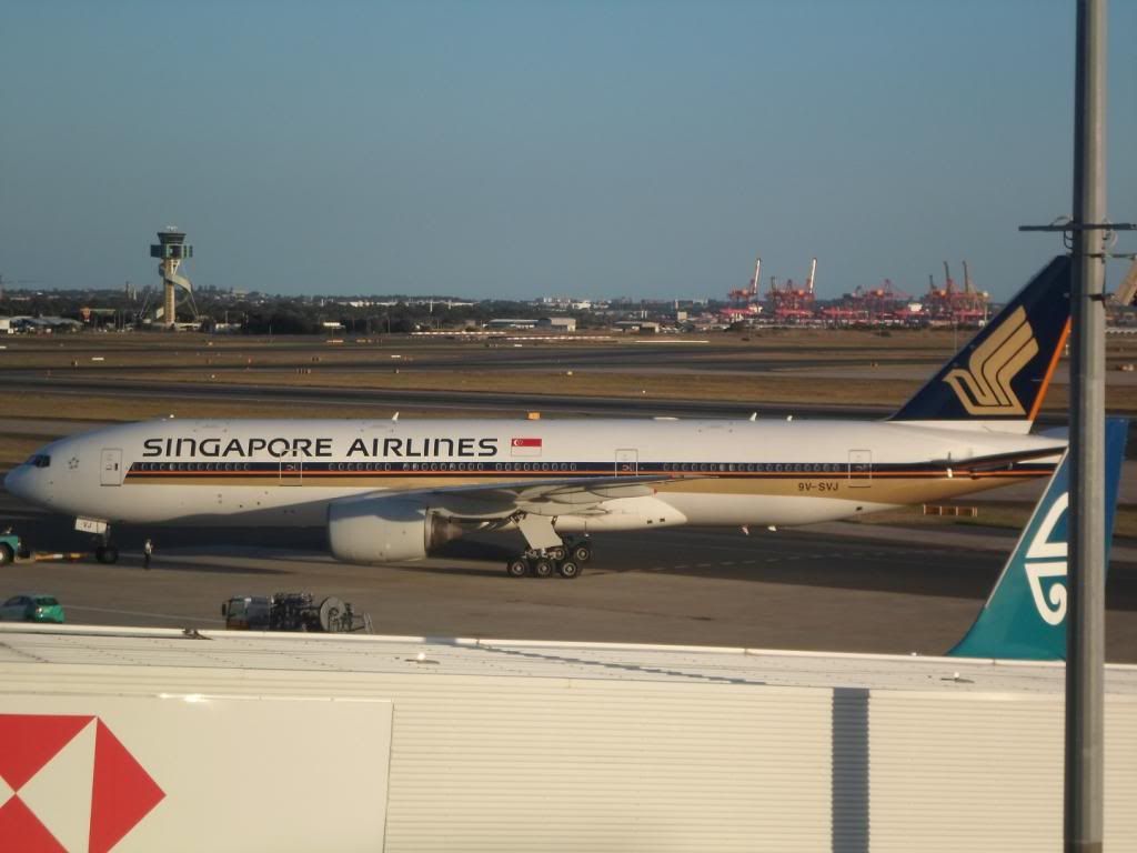 SAM_4096_zps131e903d.jpg