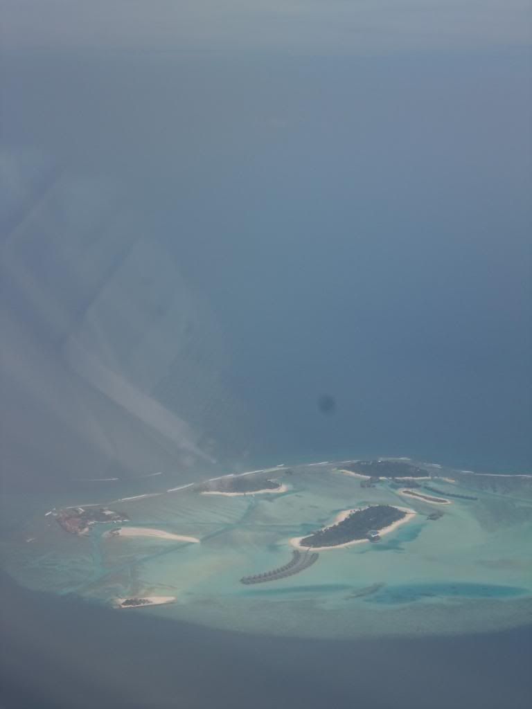 SAM_4290_zps513af26d.jpg