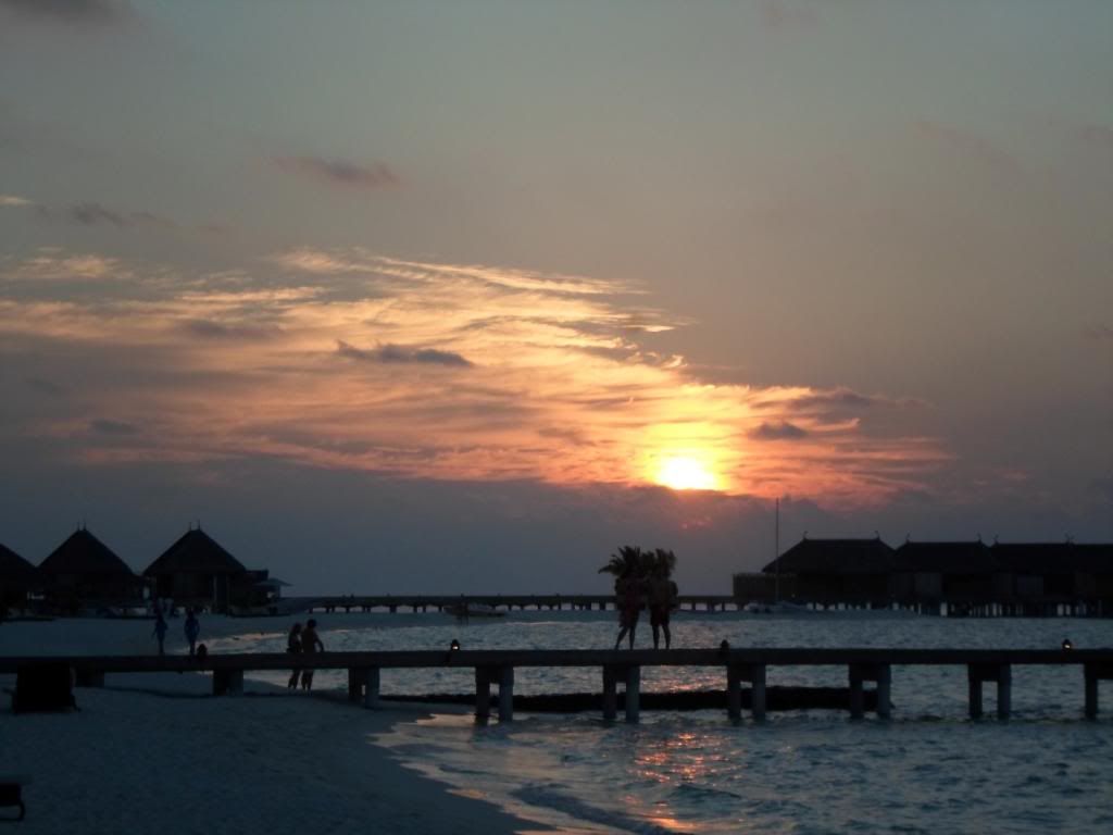 SAM_4419_zps3c60142b.jpg