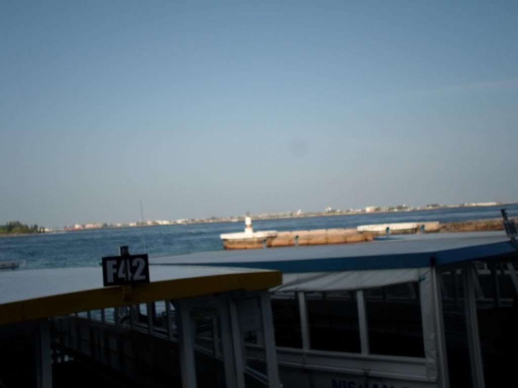SAM_5036_zps2cb2a323.jpg