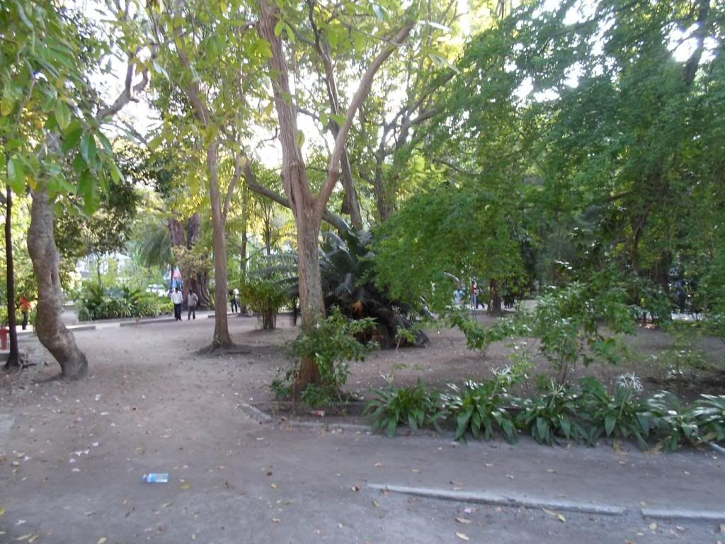 SAM_5068_zpsc9d4215a.jpg