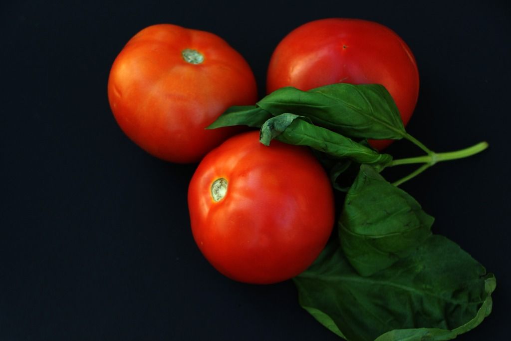  photo Tomatoes.jpg_zpsc2ekrnin.jpg