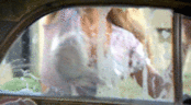 Wet Boobs Tshirt wash