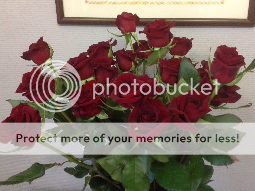 Photobucket Pictures, Images and Photos