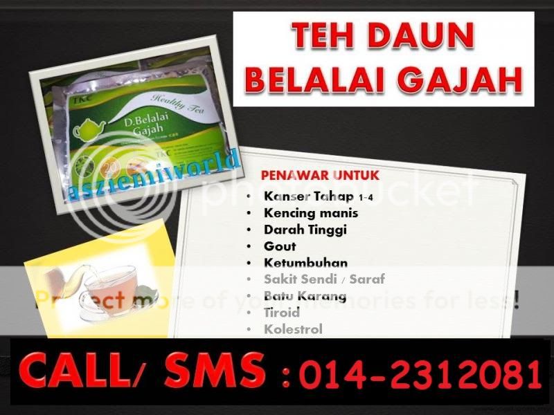 Want To Sell Teh Daun Belalai Gajah/Daun Segar/Batang Ubat 